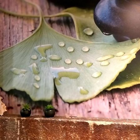 Hotel Ginkgo - Spa Biloba カンペール エクステリア 写真